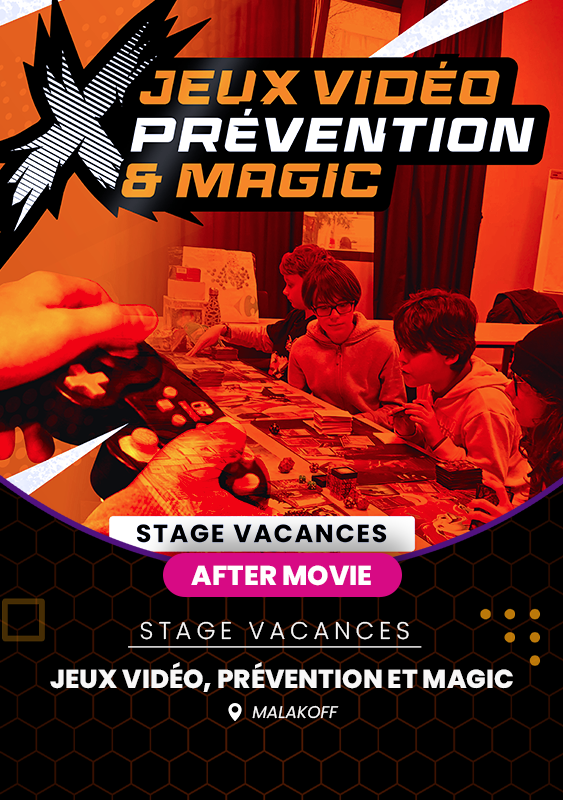Stage Jeu Video Temoignage copie